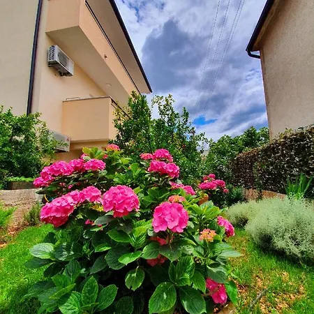 Apartment Tonka Sibenik Exterior photo